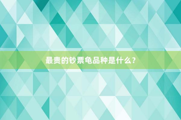 最贵的钞票龟品种是什么?